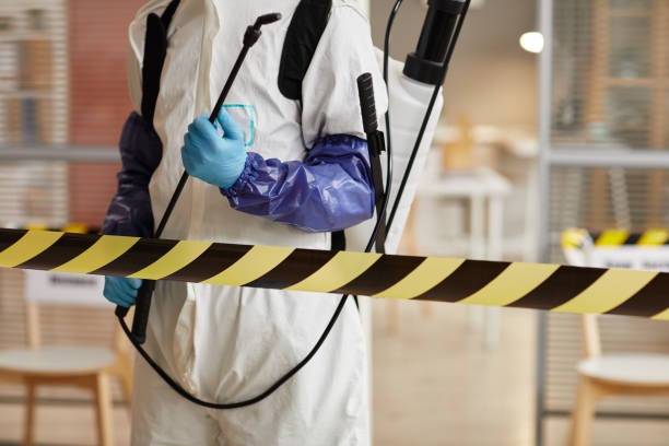 Professional Hoarding Cleanup technician working in Rosharon, TX